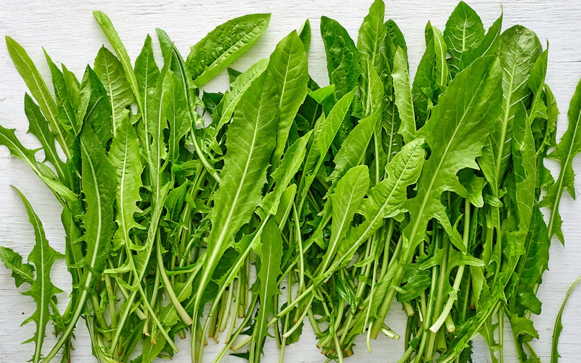 Dandelion Greens with a Bite