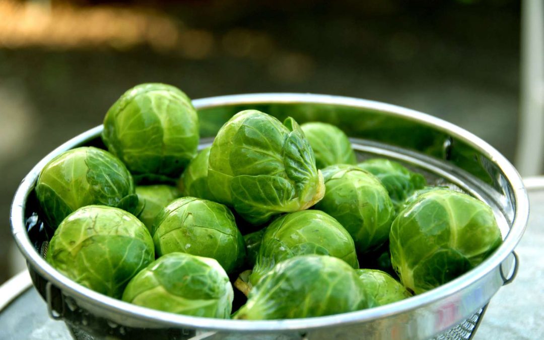 LITTLE CABBAGE (BRUSSELS SPROUTS)