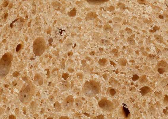 Raisin Bread with Cinnamon